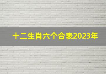 十二生肖六个合表2023年