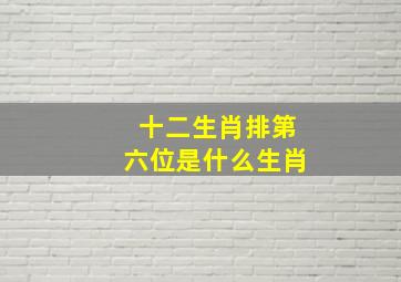 十二生肖排第六位是什么生肖