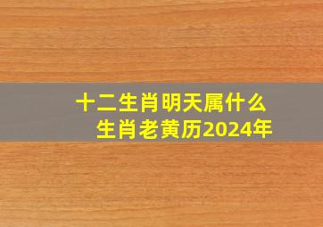 十二生肖明天属什么生肖老黄历2024年