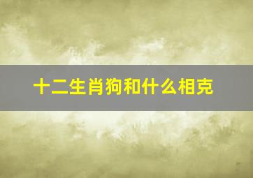 十二生肖狗和什么相克