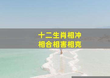 十二生肖相冲相合相害相克