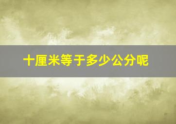 十厘米等于多少公分呢