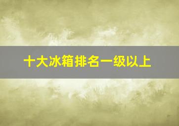 十大冰箱排名一级以上