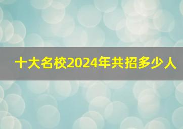 十大名校2024年共招多少人