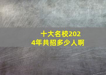 十大名校2024年共招多少人啊