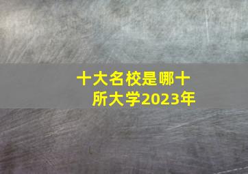 十大名校是哪十所大学2023年