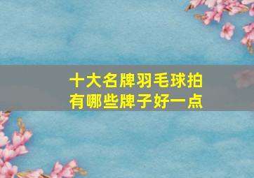 十大名牌羽毛球拍有哪些牌子好一点