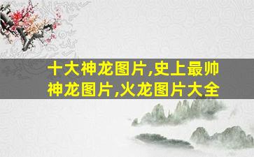 十大神龙图片,史上最帅神龙图片,火龙图片大全