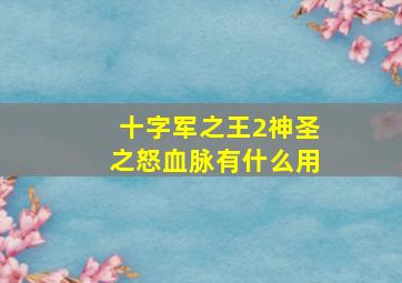 十字军之王2神圣之怒血脉有什么用