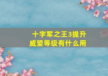 十字军之王3提升威望等级有什么用