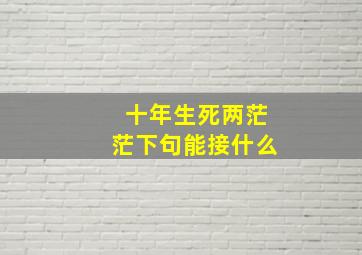 十年生死两茫茫下句能接什么