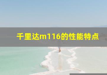 千里达m116的性能特点