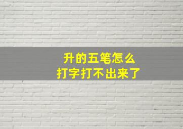 升的五笔怎么打字打不出来了