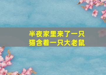 半夜家里来了一只猫含着一只大老鼠