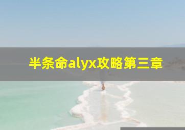 半条命alyx攻略第三章