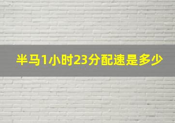 半马1小时23分配速是多少