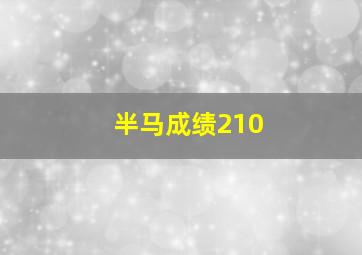 半马成绩210