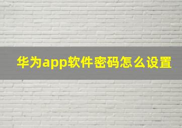 华为app软件密码怎么设置