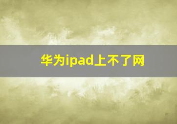 华为ipad上不了网