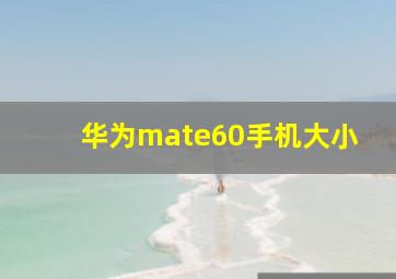 华为mate60手机大小