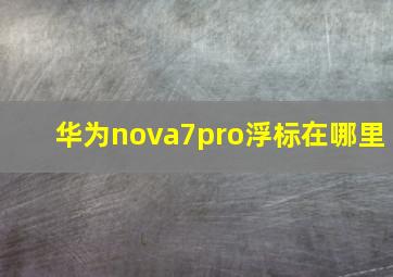 华为nova7pro浮标在哪里