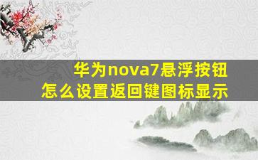 华为nova7悬浮按钮怎么设置返回键图标显示