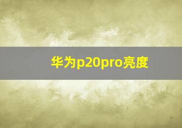 华为p20pro亮度