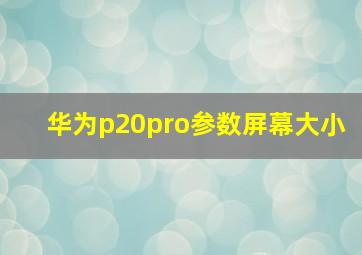 华为p20pro参数屏幕大小