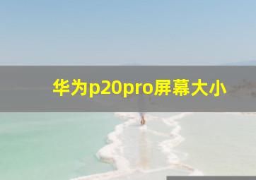 华为p20pro屏幕大小