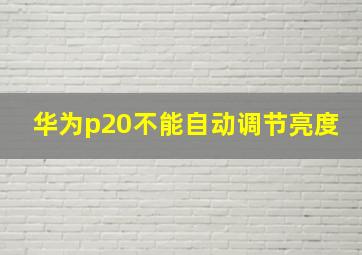 华为p20不能自动调节亮度