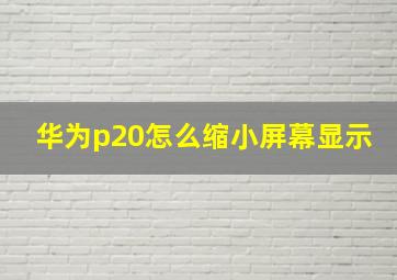 华为p20怎么缩小屏幕显示