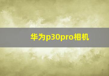 华为p30pro相机