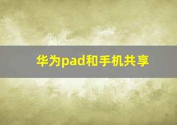 华为pad和手机共享