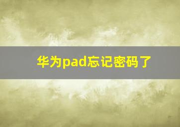 华为pad忘记密码了