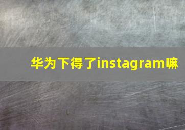 华为下得了instagram嘛