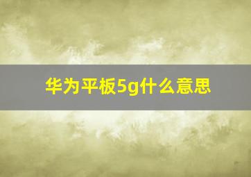 华为平板5g什么意思