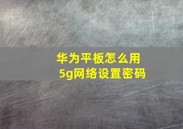 华为平板怎么用5g网络设置密码