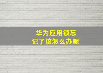 华为应用锁忘记了该怎么办呢