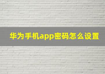 华为手机app密码怎么设置