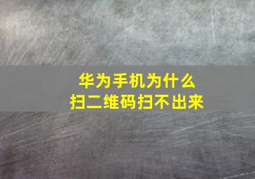 华为手机为什么扫二维码扫不出来