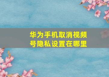 华为手机取消视频号隐私设置在哪里