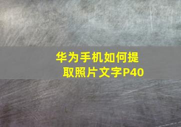 华为手机如何提取照片文字P40