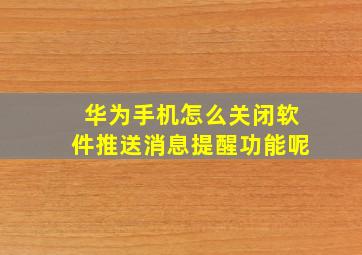 华为手机怎么关闭软件推送消息提醒功能呢