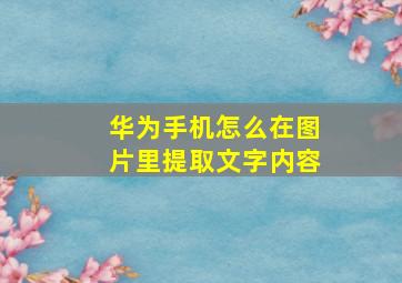 华为手机怎么在图片里提取文字内容