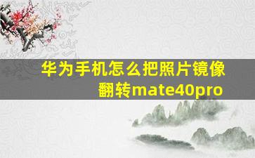 华为手机怎么把照片镜像翻转mate40pro