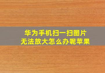 华为手机扫一扫图片无法放大怎么办呢苹果