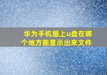 华为手机插上u盘在哪个地方能显示出来文件