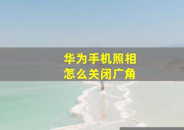 华为手机照相怎么关闭广角