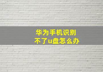 华为手机识别不了u盘怎么办