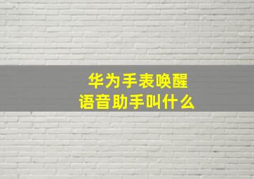 华为手表唤醒语音助手叫什么